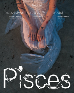 YERIN BEAK / Pisces （CD+Keyring）新品未開封 YERIN BAEK Single Album [PISCES] Limited KEYRING | eBay