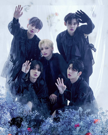 TXT | Kpop Wiki | Fandom TXT | Kpop Wiki | Fandom