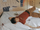 Mark 200 concept photo 10.webp