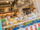100% Sunshine official group promo photo.png