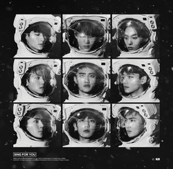 T シャツ 再 利用 マット EXO/SING FOR YOU<韓国盤>チャニョル