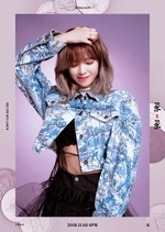 Yes or Yes (2)