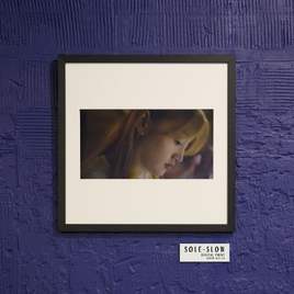 Sole Slow cover image