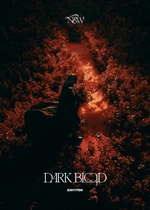 ENHYPEN Dark Blood concept moodboard 7.png (8.21 MB) Concept moodboard (7) (New ver.)