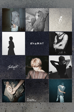 Stardust (The8) | Kpop Wiki | Fandom