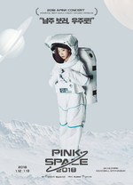 2018 Apink Concert <Pink Space>