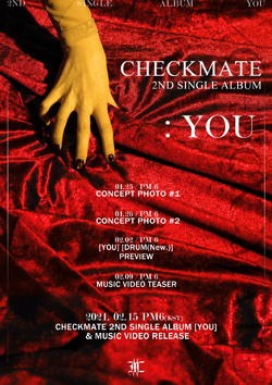 Checkmate Pt.2-doublecheck- - song and lyrics by SUIKEN, GOCCI