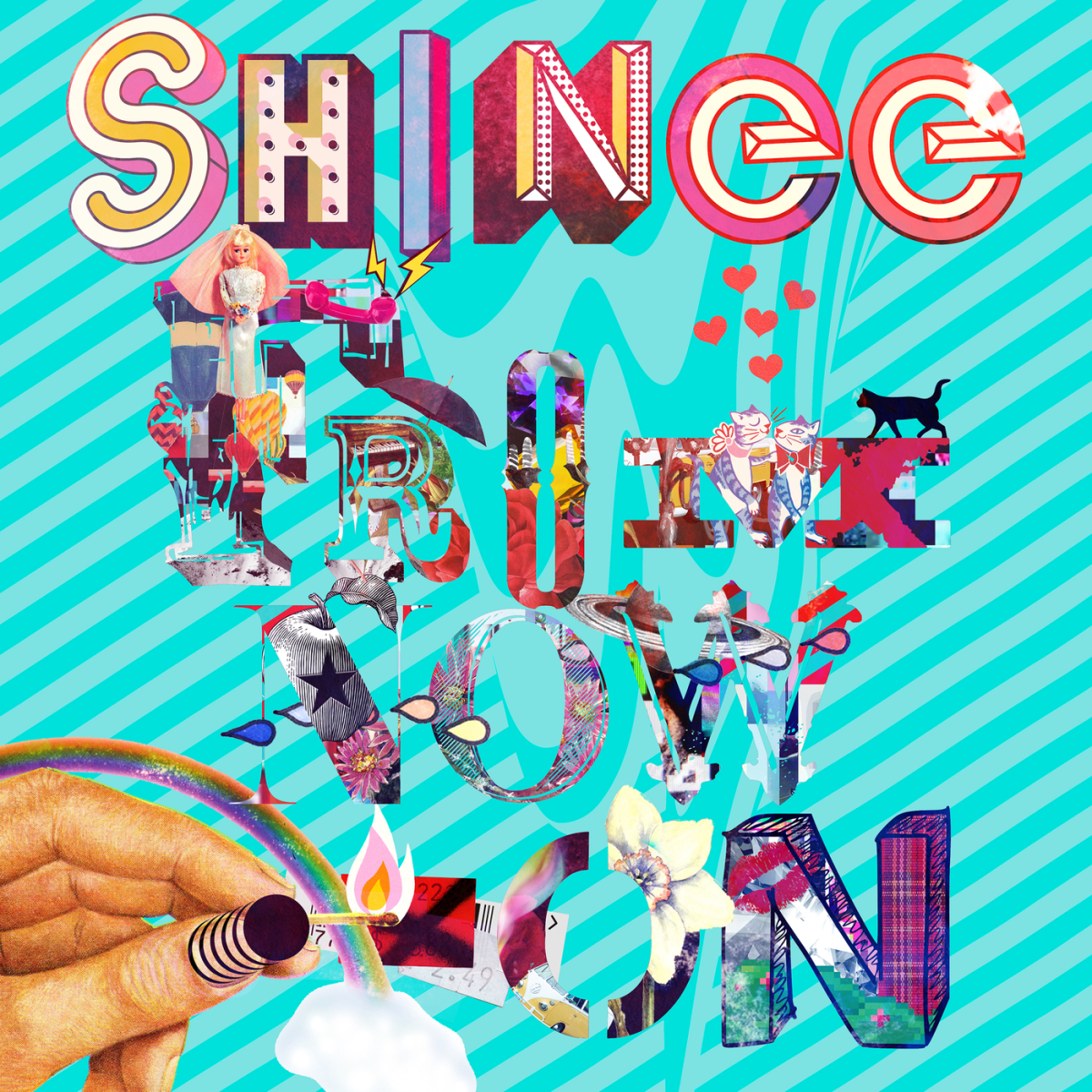 SHINee The Best from Now On | Kpop Wiki | Fandom