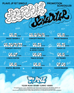 Promotion scheduler