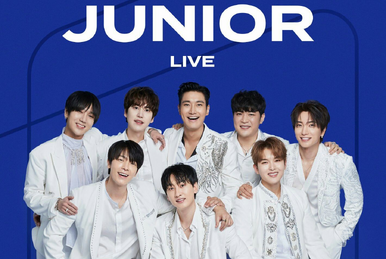 ランキング上位のプレゼント SUPER JUNIOR-E.L.F. Blue Super ~The Anniversary 10th Japan K-POP・アジア