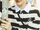 NCT WISH Sion Wish concept photo 15.webp
