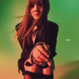 SOLE Why album cover