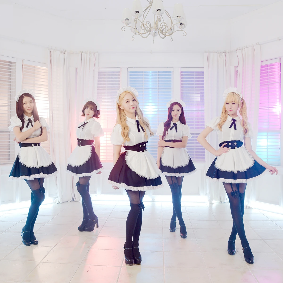 VIVIDIVA | Kpop Wiki | Fandom