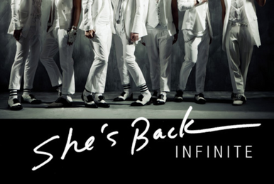 infinite the chaser album cover