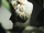 THE BOYZ Sunwoo Phantasy Pt.3 Love Letter concept photo 4.webp