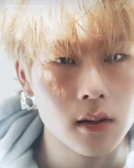 Lights (26)