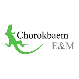 2016–2017