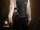 Jay I-LAND profile photo.png