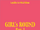 Lapillus Girl's Round Part.1 Platform album cover (B ver.).png