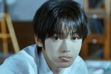 younite steve トレカ ヨントン スティーブ 【公式通販】