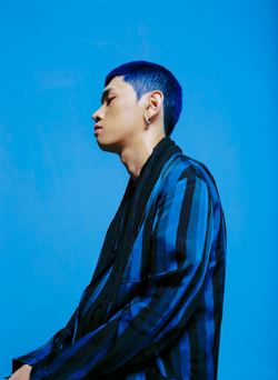 He officially debuted as a soloist on april 1, 2014 with the single sometimes . Crush Kpop : Crush Singer Kpop Wiki Fandom