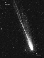 Solving the given puzzle is the only route for all to escape. (3)