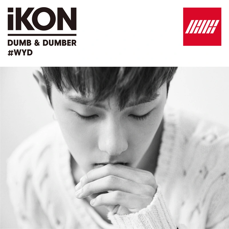 Dumb & Dumber | Kpop Wiki | Fandom