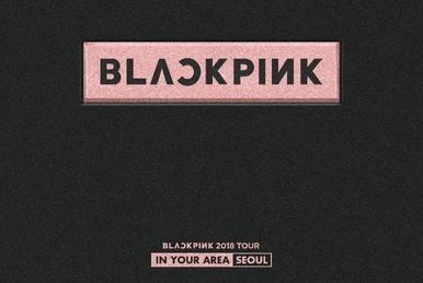 BLACKPINK 2018 Tour 'In Your Area' Seoul | BLACKPINK Wiki | Fandom