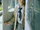 NCT WISH Ryo Wish concept photo 5.webp