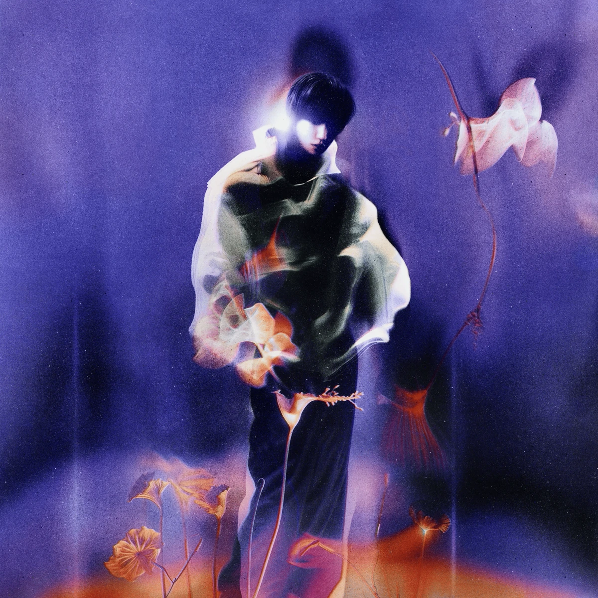 Stardust (The8) | Kpop Wiki | Fandom