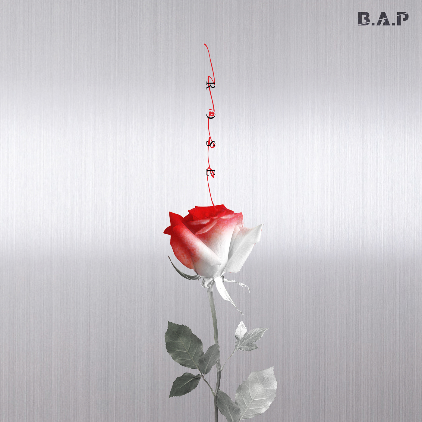 Rose (B.A.P) | Kpop Wiki | Fandom