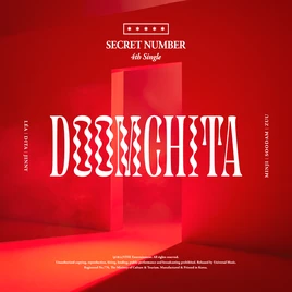 SECRET NUMBER Doomchita cover album art