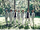 BTOB Complete cover art.png