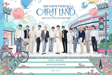 SEVENTEEN 2022 Japan Fanmeeting 'Hanabi' | Kpop Wiki | Fandom