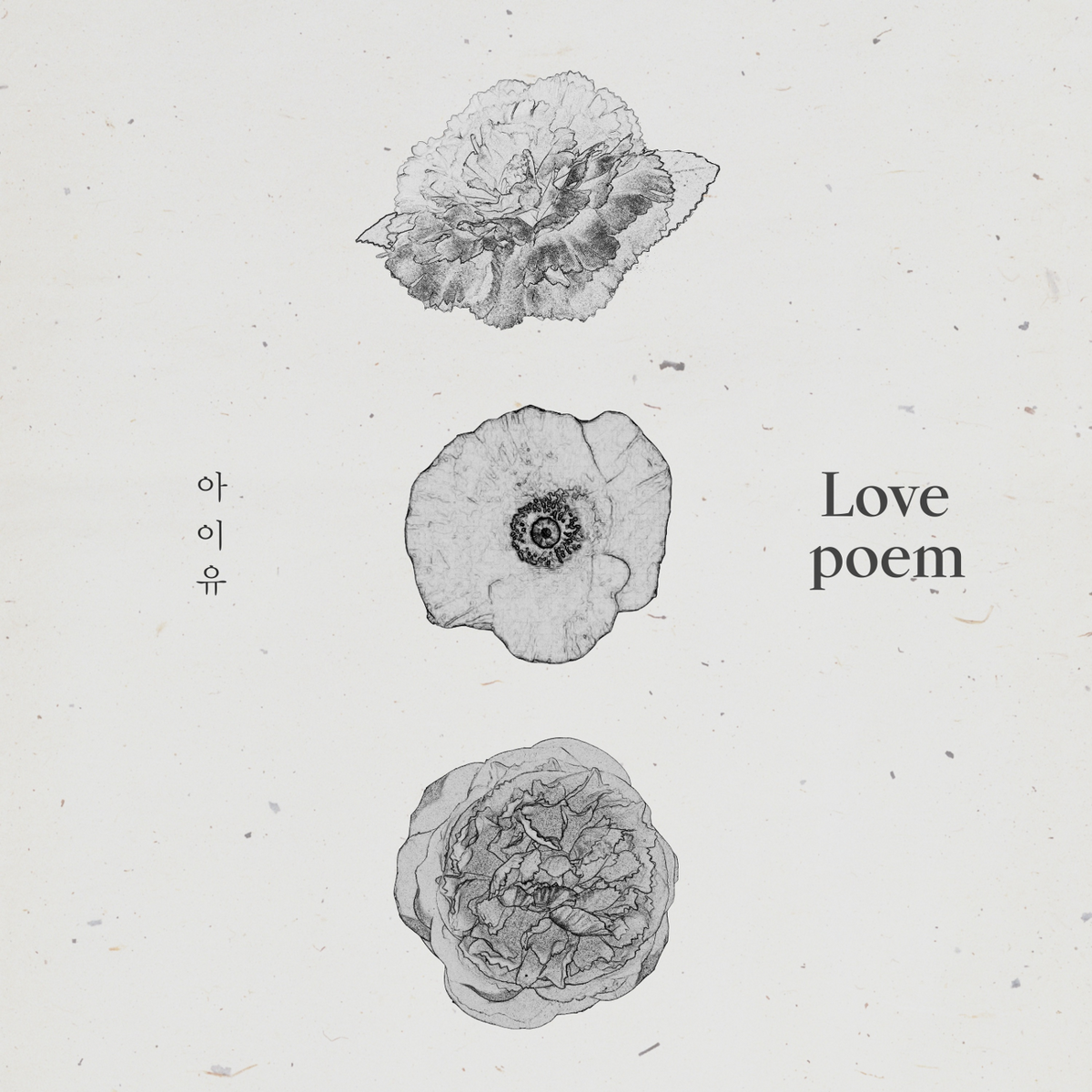 IU アルバム Palette Love poem lilac IU アルバム Palette Love poem lilac IU｜韓国5枚目のアルバム