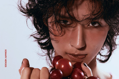 Jun Han | Xdinary Heroes Wiki | Fandom