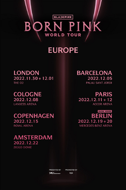 ミュージック BLACKPINK WORLD TOUR IN YOUR AREA BLACKPINK 2019-2020 WORLD TOUR IN YOUR AREA -TOKYO DOME