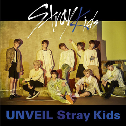 Update: Stray Kids Unveils Eye-Catching Online Cover For Upcoming  Repackaged Album