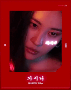 Gasina (Special Edition) : ソンミ | HMV&BOOKS online