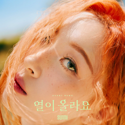 ソンミ　公式トレカ　HEARTBURN SUNMI sunmi 선미 ソンミ公式トレカHEARTBURN SUNMI sunmi 선미