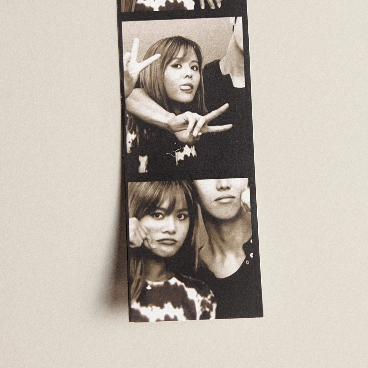 Crazy Stupid Lovers | Kpop Wiki | Fandom