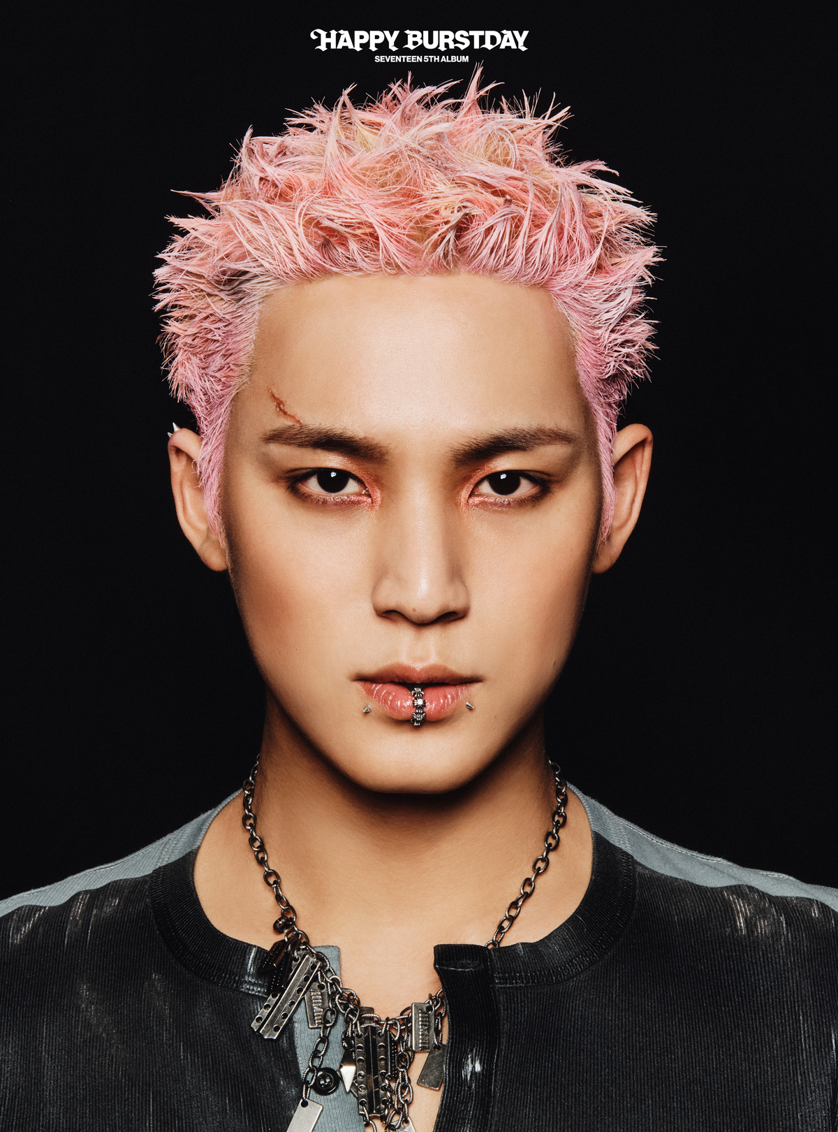 Mingyu (SEVENTEEN) | Kpop Wiki | Fandom
