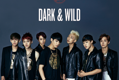 K-POP・アジア D'/ICON     DARK&WILD     2COOL4school 2 Cool 4 Skool | Kpop Wiki | Fandom
