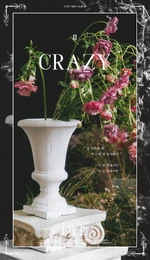 "Crazy" teaser photo