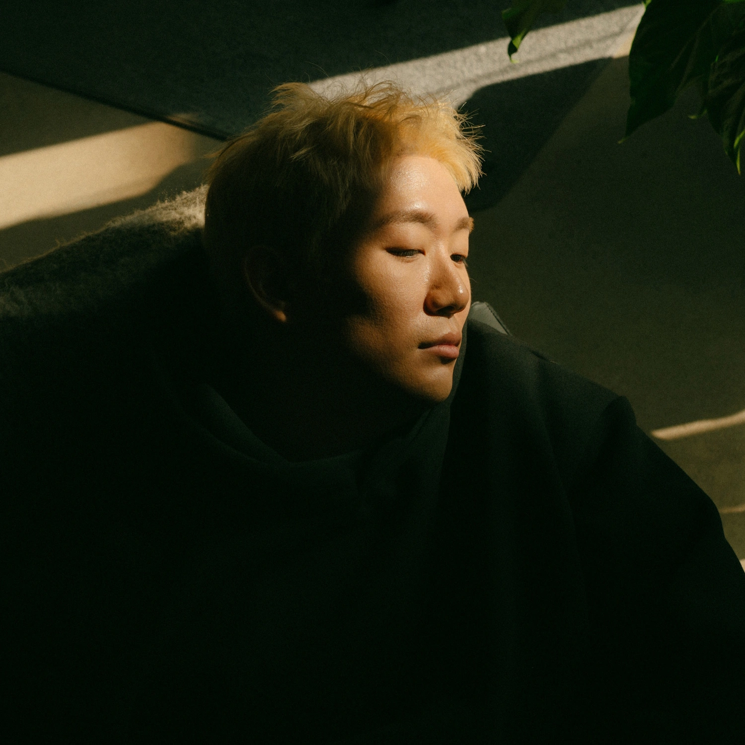 Bernard Park