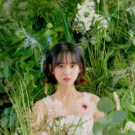 NC.A My Little concept photo