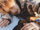 NCT Kun Golden Age concept photo 6.webp