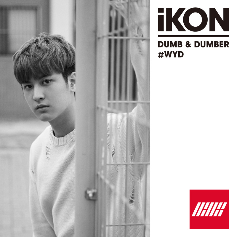 Dumb & Dumber | Kpop Wiki | Fandom