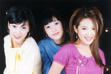 Sorrowful Secret | Kpop Wiki | Fandom