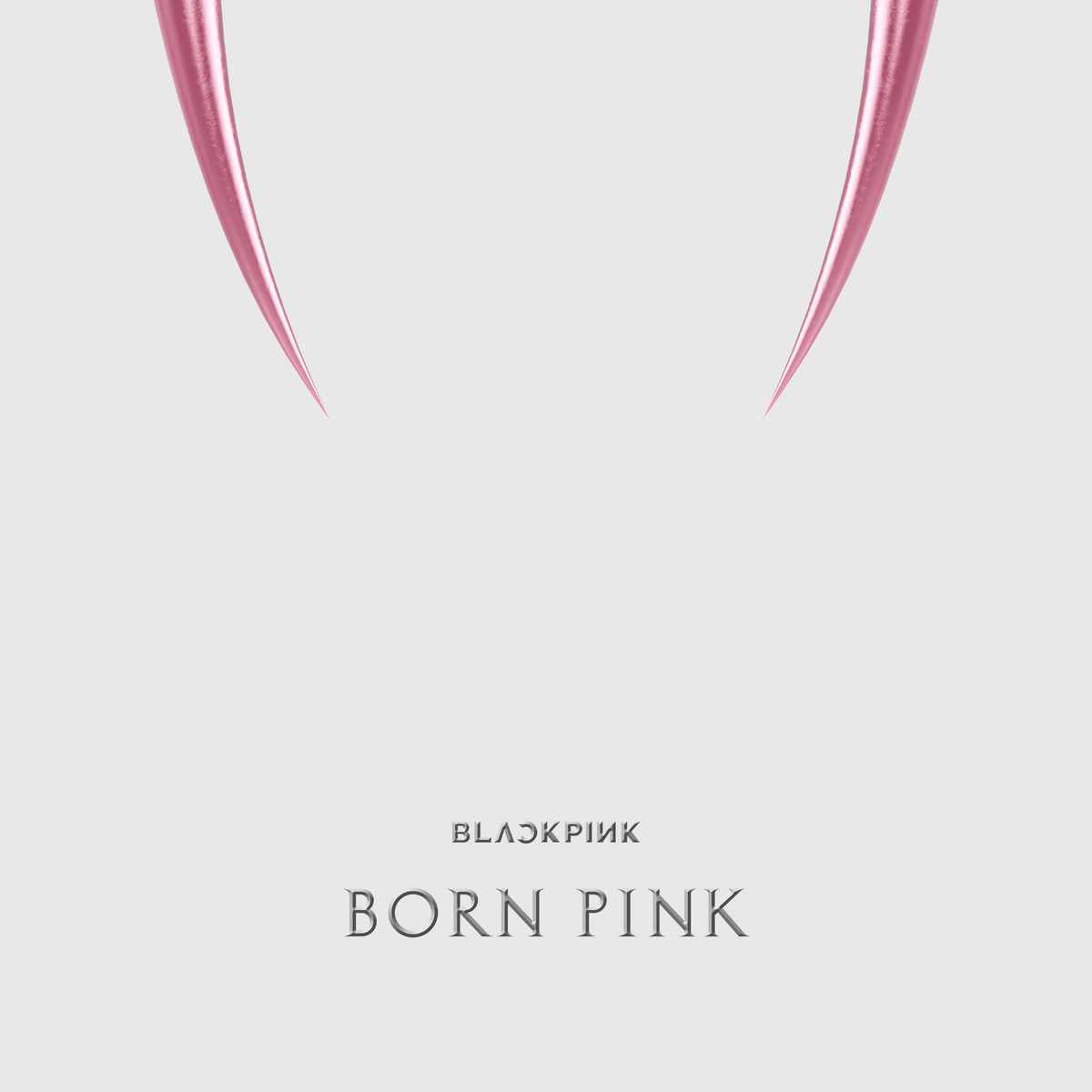 BLACKPINK born pink ソウルコン　PPEU BLACKPINK - BLACKPINK born pink ソウルコン PPEUの通販 by asu